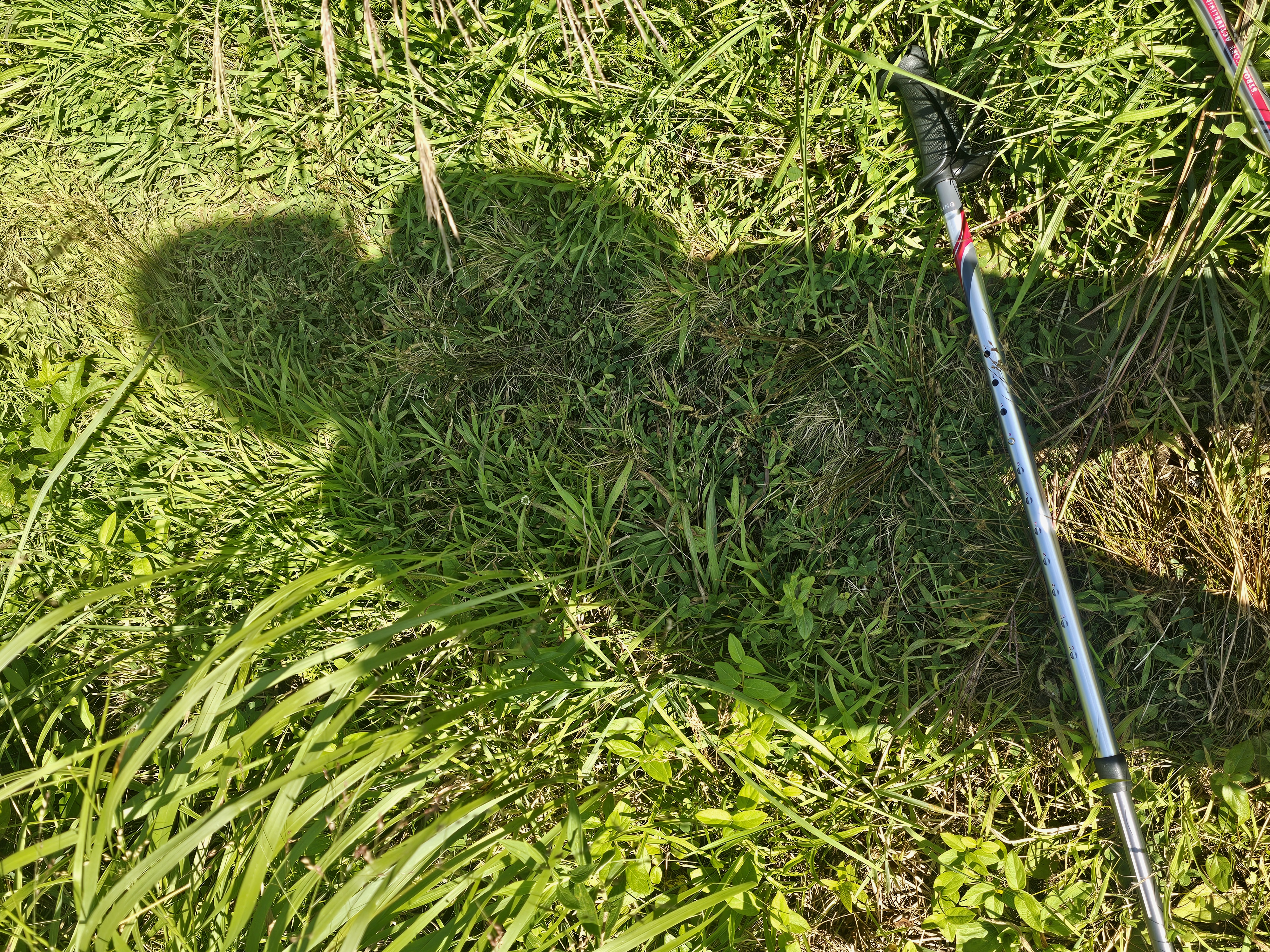 Julie Gooding - Nordic Walking Instructor